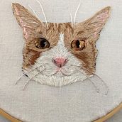 Meu projeto do curso: Needle painting para principiantes. Embroider project by Cinthya Necer - 12.10.2020