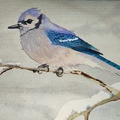 Mi Proyecto del curso: ANIMALARIO Técnicas experimentales de acuarela para principiantes . Traditional illustration, Fine Arts, Watercolor Painting, and Naturalistic Illustration project by Isabel Paricio - 12.22.2020