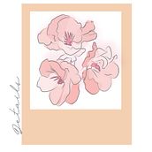 Flores de la Villa. Un proyecto de Ilustración tradicional, Diseño y Diseño gráfico de Macarena Di Gregorio - 11.12.2020