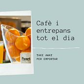 PANET. Instagram Marketing project by MAITE GUTIERREZ SOLER - 12.12.2020