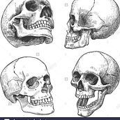 Mi Proyecto del curso: Tatuaje para principiantes Ein Projekt aus dem Bereich Tattoodesign von Esteban Mndza - 12.12.2020