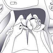 Magnolia. Comic, and Digital Illustration project by Indeg May Cameron - 12.12.2020
