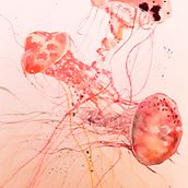 Mein Kursprojekt: Moderne Aquarelltechniken. Watercolor Painting project by Janine - 12.12.2020