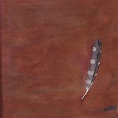 A little book of Birds Ein Projekt aus dem Bereich Artistische Zeichnung und Buchbinderei von Ralf Thorn - 13.12.2020