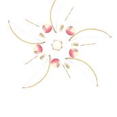 My project - A flower of berimbaus. Un proyecto de Pintura a la acuarela de Sara - 13.12.2020