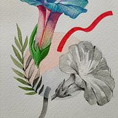 Mi Proyecto del curso: Ilustración botánica con acuarela. Botanical Illustration, and Watercolor Painting project by Emerson Mena - 12.13.2020
