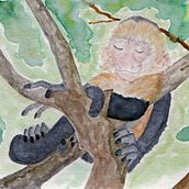 Watercolors. Watercolor Painting project by Mary Baker - 12.15.2020
