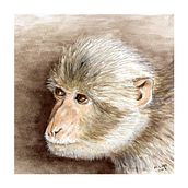 Some previous work.. Watercolor Painting project by Malcolm Lord - 12.11.2020