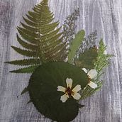 Mi Proyecto del curso: Técnicas básicas de prensado botánico. Un progetto di Artigianato e Belle arti di Aida Fernández Lago - 15.12.2020