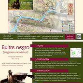 Cartel Buitre Negro . Design de postere de Alba Lou - 09.16.2019