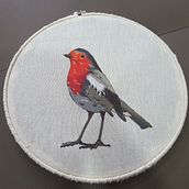 Petirrojo . Embroider project by Iris Maciel Teyssier - 12.16.2020