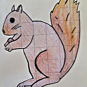 Ardilla. Desenho, e Desenho a lápis projeto de Milén Rojas - 17.12.2020