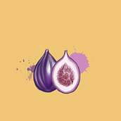 Figs with Autodesk SketchBook. Un proyecto de Ilustración botánica, Pintura digital y Packaging de Linda Felici - 17.12.2020