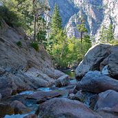 Sequoia National Park, CA.. Photograph, and Photo Retouching project by Cesar Villalba - 12.18.2020