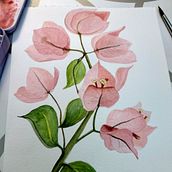 Mi Proyecto del curso: Ilustración botánica con acuarela - GIRASOL y BUGAMVILIAS. Traditional illustration, Fine Arts, Painting, Drawing, Watercolor Painting, and Botanical Illustration project by Cecilia Mora Bonilla - 12.14.2020