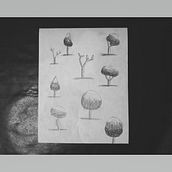 Mi Proyecto del curso: Dibujo para principiantes nivel -1. Drawing, and Pencil Drawing project by Luis Guzmán - 12.20.2020