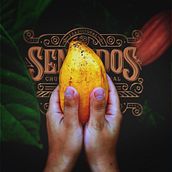 SENTIDOS. Br, ing, Identit, Logo Design, Graphic Design, Photograph, and Packaging project by Haiver Jaimes - 02.15.2019