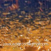 Color reel con algunos de mis últimos proyectos de color.. Un projet de Cinéma, vidéo et télévision, Correction des couleurs, Édition vidéo, Postproduction photographique, Postproduction audiovisuelle, Publicité, Réalisation, Télévision , et Vidéo de José Luis Alarcón San José - 22.12.2020