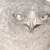 Águila. Un projet de Animation 2D de Lau MN - 28.12.2020