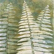 My project in Negative Watercolor Painting for Botanical Illustration course. Fine Arts, Traditional illustration, and Watercolor Painting project by armaundrell - 12.23.2020