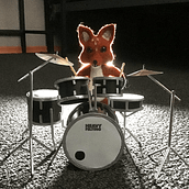 Zorro baterista. Ein Projekt aus dem Bereich H, werk und Fotografie von Adrian Flemate - 23.12.2020
