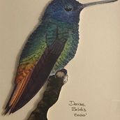 Mi Proyecto del curso: Ilustración naturalista de aves con acuarela. Watercolor Painting project by denise_zeldis - 12.23.2020