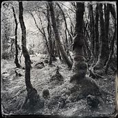 Night Journey. Fine-Art Photograph project by Cindy Plecko - 12.23.2020