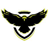 Promo de empresa de drones. Br, ing & Identit project by Esteban Ugalde Alarcon - 12.24.2020