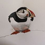My project in Artistic Watercolor Techniques for Illustrating Birds course . % Annette Thurman tarafından hazırlanan Sulubo, Ve a Resim projesi - 12.24.2020