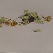 My project in Modern Watercolor Techniques course. Watercolor Painting project by Camille Savignac - 12.26.2020