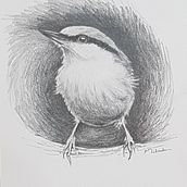 Tonal values - Little Bird . Un proyecto de Pintura acrílica de Milada Theron - 27.12.2020