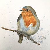 My robin project in Artistic Watercolor Techniques for Illustrating Birds course . % Jill Egan tarafından hazırlanan Sulubo, Ve a Resim projesi - 12.27.2020