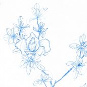 My project in Botanical Watercolor Sketchbook course. Sketchbook project by zksk - 12.27.2020