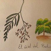  Cuaderno botánico en acuarela. Un progetto di Pittura ad acquerello di maidemarco - 27.12.2020