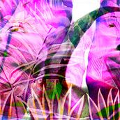 blOOming . % psychedelic siamese tarafından hazırlanan Kolaj projesi - 12.28.2020