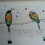 Motmot. Un projet de Beaux Arts de Laura Beverido - 28.12.2020