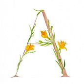 Abecedario Flores de la Patagonia. T, pograph, Design, Botanical Illustration, and Watercolor Painting project by Nadia Altaparro - 11.19.2020