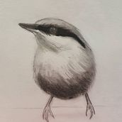 My project in Artistic Watercolor Techniques for Illustrating Birds course. Un proyecto de Pintura a la acuarela de Terrianne Hughes - 29.12.2020