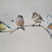 My project in Artistic Watercolor Techniques for Illustrating Birds course. Watercolor Painting project by Tara - 01.27.2021
