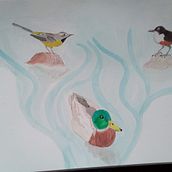 My project in Artistic Watercolor Techniques for Illustrating Birds course . % Karen Allison tarafından hazırlanan Sulubo, Ve a Resim projesi - 12.29.2020