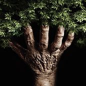Humanity and nature are one. Follow our tips and preserve life.. Advertising project by Felipe Précoma - 01.20.2011