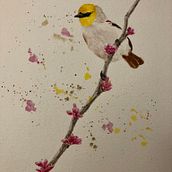 My project in Artistic Watercolor Techniques for Illustrating Birds course. Watercolor Painting project by Rachel Dawson - 12.31.2020