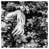 DISPAROS. Photograph project by Claudia Miguel - 12.28.2016