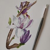 Mi Proyecto del curso: Ilustración botánica con acuarela. Botanical Illustration project by Eloisa Gutiérrez - 01.01.2021