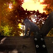 Mi Proyecto del curso: Fotomontaje surrealista con Photoshop . Photomontage project by carlos Fernandez Avila - 01.02.2021