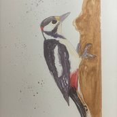 Mein Kursprojekt: Illustriere Vögel mit expressiven Aquarelltechniken. Watercolor Painting project by Jan Dober - 01.18.2021
