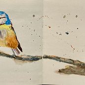 My project in Artistic Watercolor Techniques for Illustrating Birds course. Watercolor Painting project by Catherine Pawlow - 01.02.2021