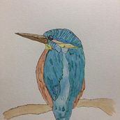 Meu projeto do curso: Ilustração naturalista de aves com aquarela. Drawing project by leonardo_golob - 01.03.2021