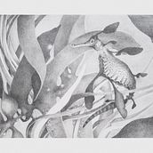 Weedy Seadragon. Traditional illustration project by Annemarie Sabelis - 01.03.2021