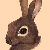Conejo europeo común. Un proyecto de Ilustración digital e Ilustración naturalista				 de Veruska Maceiras - 03.01.2021